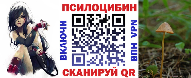 Галлюциногенные грибы мухоморы Купить закладки Бузулук