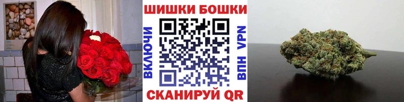 Каннабис план  Купить  Бузулук 